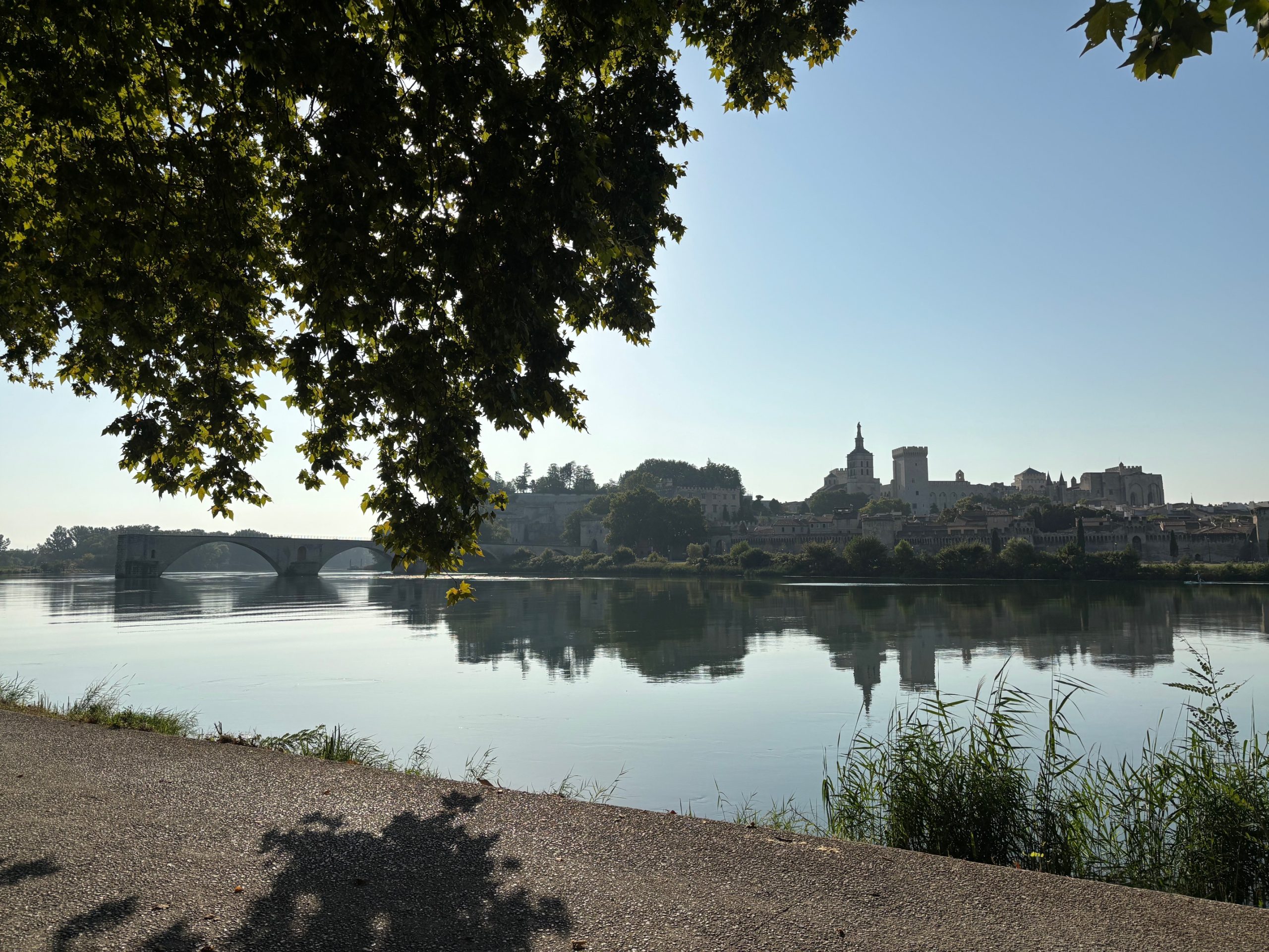 IMG_3758 Palais des papes - Avignon